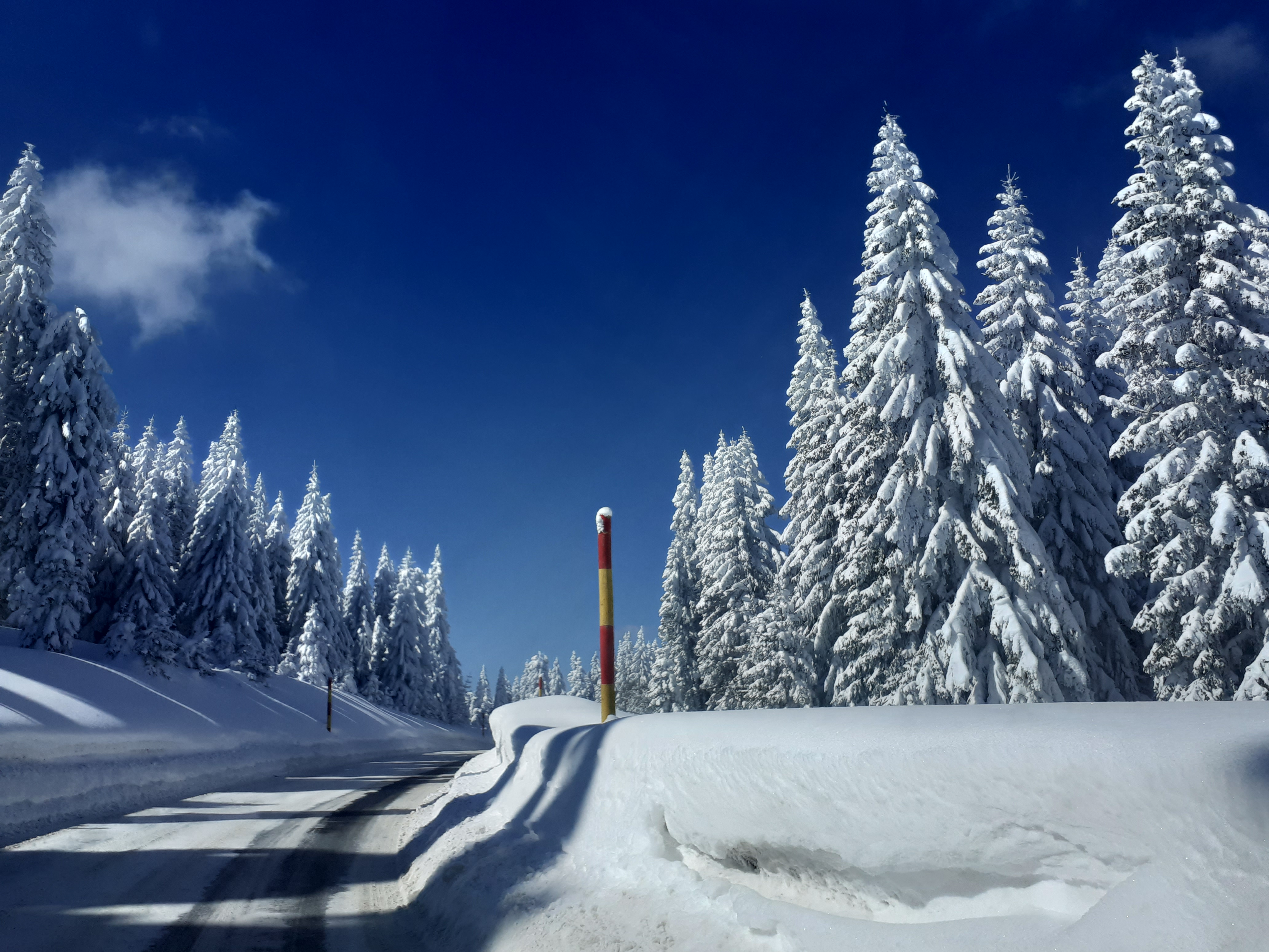 Ski trip, Winter 2022